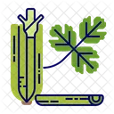 Celery Icon