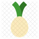 Celery Root  Icon