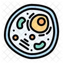 Cell Microorganism Biology Icon