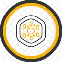 Cell Skin Medical Icon