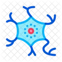 Cell Human Body Icon