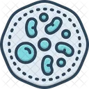 Cell Biology Bacteria Icon
