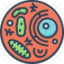 Cell Germ Bacterium Icon