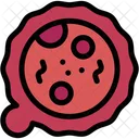 Cell Virus Science Icon