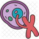 Chromosome Cell Nucleus Icon