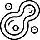 Cell Division  Icon