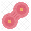 Cell Division Biology Membrane Icon