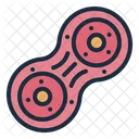 Cell division  Icon