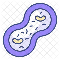 Cell division  Icon