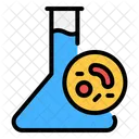 Cell division  Icon
