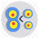 Cell division  Icon