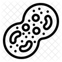 Cell Division  Icon