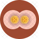Cell Division  Icon