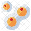 Cell Division  Icon