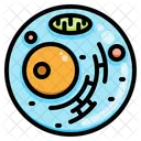 Cell  Icon