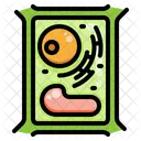 Cell  Icon
