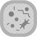 Cell  Icon