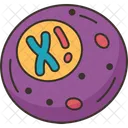 Cell  Icon