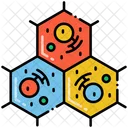 Cell Structure  Icon