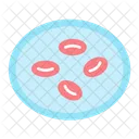 Cells  Icon