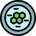 Cells Biology Microorganisms Icon