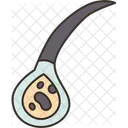 Cells Root Hair Icon
