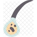 Cells Root Hair Icon