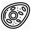 Cellule animale  Icône