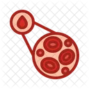 Cellule sanguine microscopique  Icône