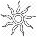 Celtic Sunwheel Thinline Icon Icon