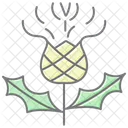 Celtic Thistle  Icon