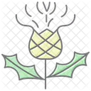 Celtic Thistle Lineal Color Icon Icon