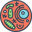Celúla  Icono
