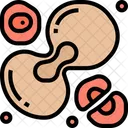 Células  Icono