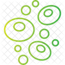 Celulas Tronco Biologia Celula Ícone