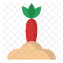 Cenoura  Ícone