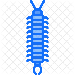 Centipede  Icon