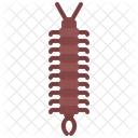 Centipede  Icon