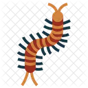Centipede  Icon