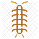 Centipede  Icon