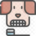 Cepillo De Dientes Mascota Tienda Icono