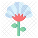 Cerastium Tomentosum  Icon
