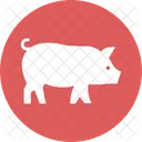 Cerdo Cerdo Ganado Icon