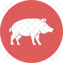 Cerdo Cerdo Ganado Icon