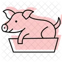 Cerdo En Comedero Cerdo Alimentacion Icono