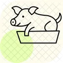 Cerdo En Comedero Cerdo Alimentacion Icono