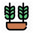 Cereais Graos Colheitas Ícone