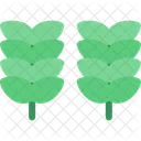 Cereais Graos Colheitas Ícone