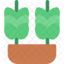 Cereais Graos Colheitas Ícone