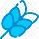 Cereais Graos Colheitas Ícone